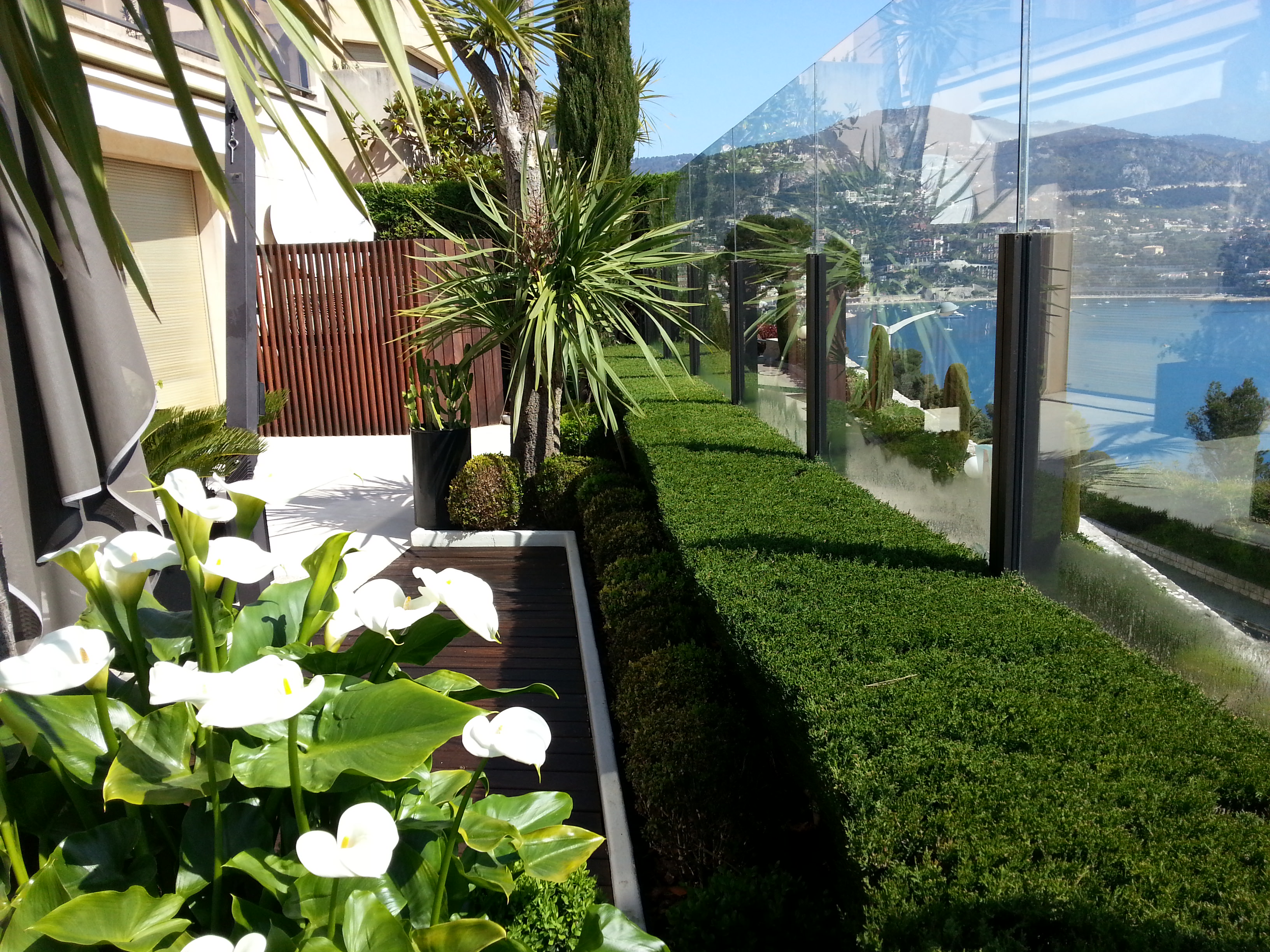 Jardin étroit avec irrigation adaptée aux plantations - Nazarian Espaces Verts