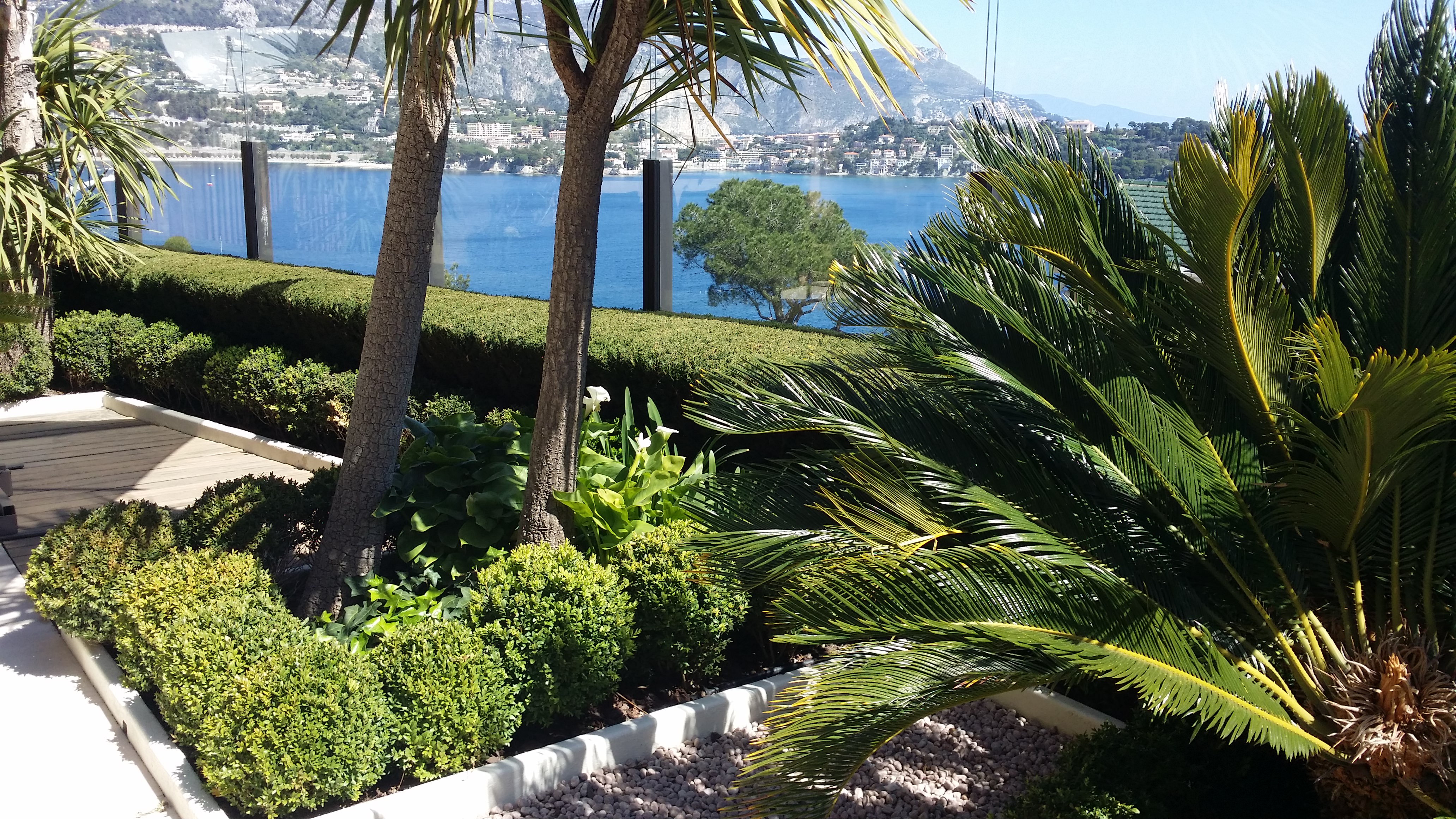 Gestion des volumes végétaux dans un jardin méditerranéen - Nazarian Espaces Verts
